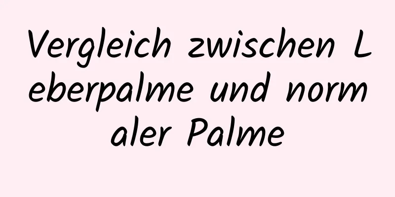 Vergleich zwischen Leberpalme und normaler Palme