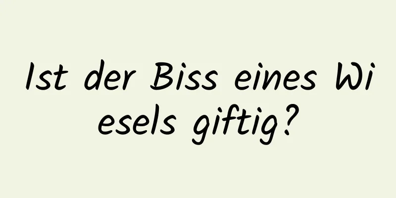 Ist der Biss eines Wiesels giftig?