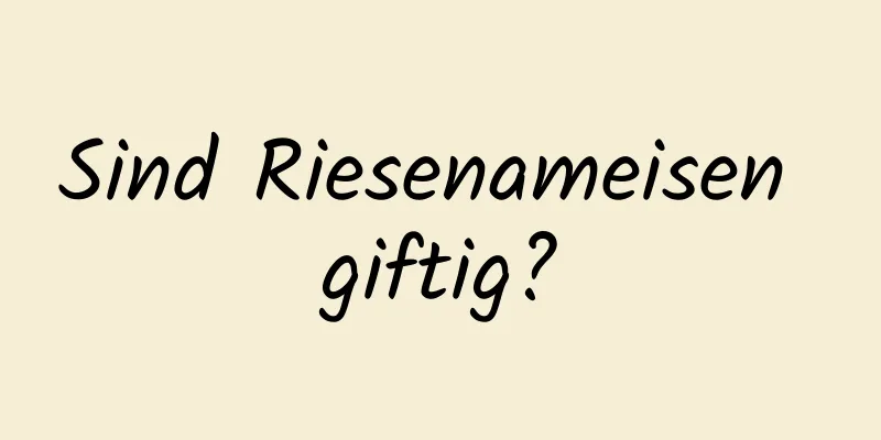 Sind Riesenameisen giftig?