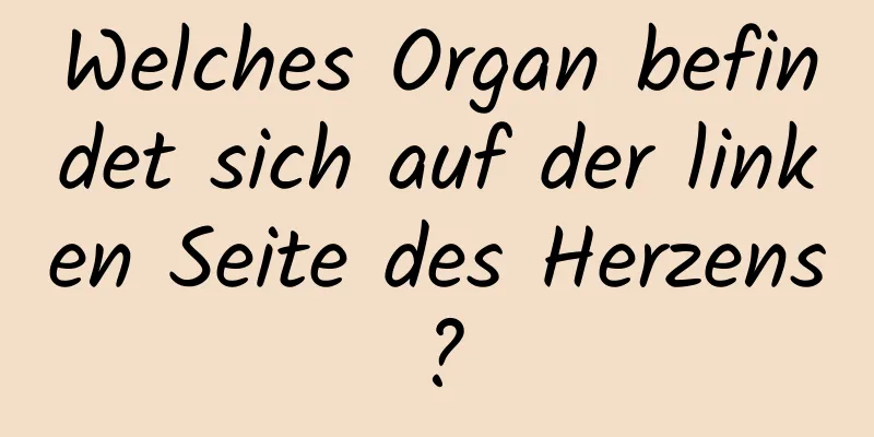 Welches Organ befindet sich auf der linken Seite des Herzens?