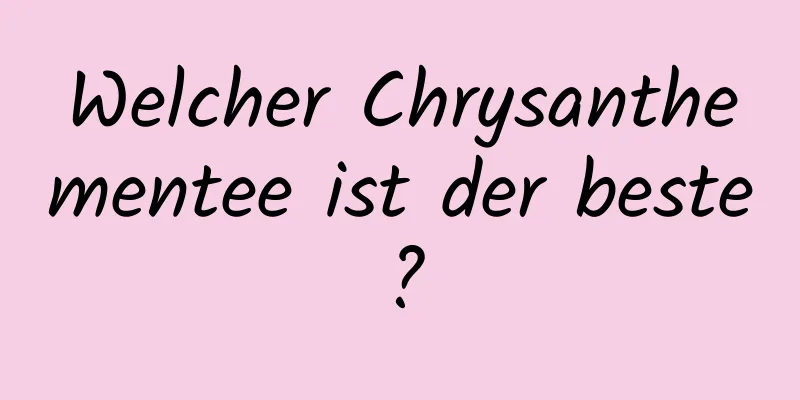 Welcher Chrysanthementee ist der beste?
