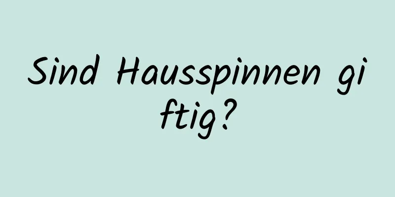 Sind Hausspinnen giftig?