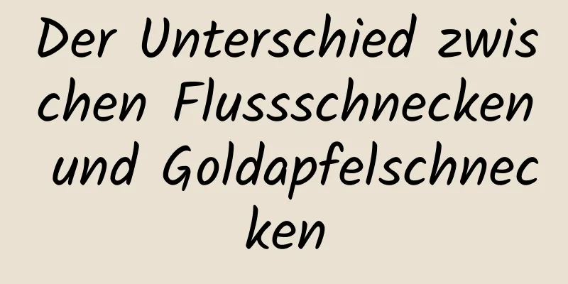 Der Unterschied zwischen Flussschnecken und Goldapfelschnecken