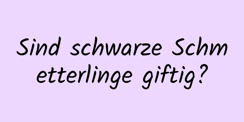 Sind schwarze Schmetterlinge giftig?