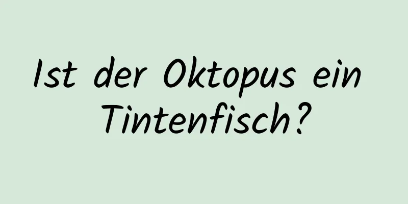 Ist der Oktopus ein Tintenfisch?