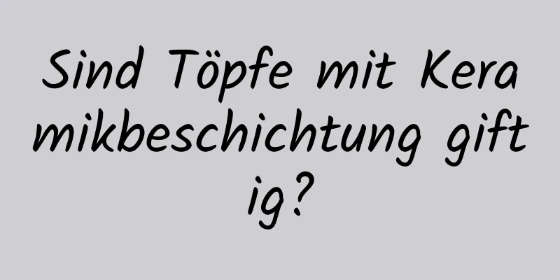 Sind Töpfe mit Keramikbeschichtung giftig?