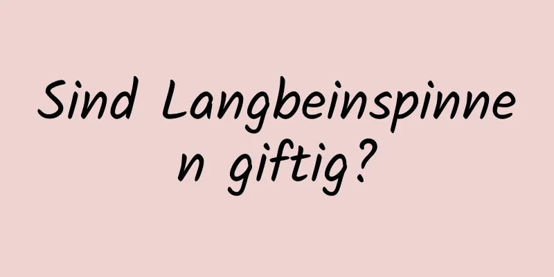 Sind Langbeinspinnen giftig?