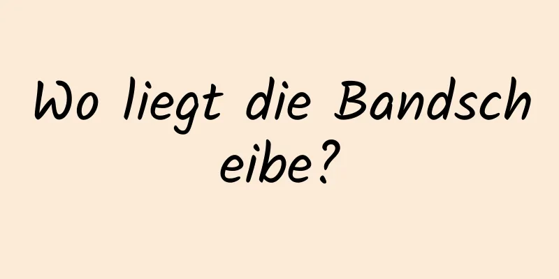 Wo liegt die Bandscheibe?