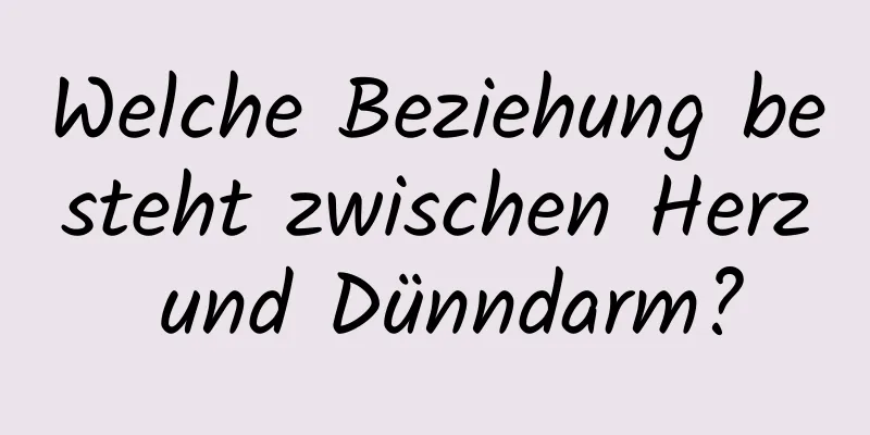 Welche Beziehung besteht zwischen Herz und Dünndarm?