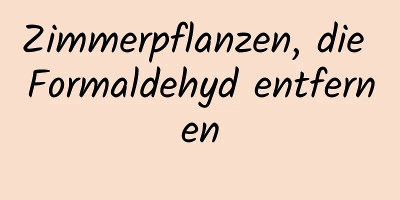 Zimmerpflanzen, die Formaldehyd entfernen