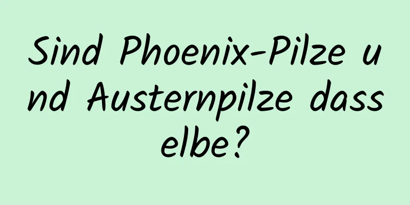 Sind Phoenix-Pilze und Austernpilze dasselbe?