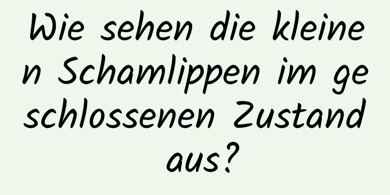 Wie sehen die kleinen Schamlippen im geschlossenen Zustand aus?