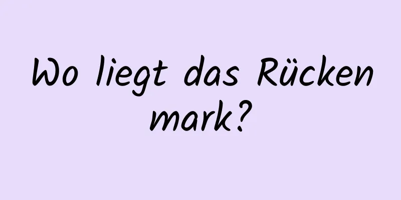 Wo liegt das Rückenmark?