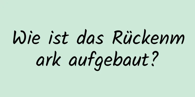 Wie ist das Rückenmark aufgebaut?