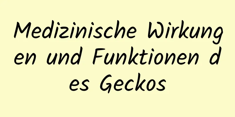 Medizinische Wirkungen und Funktionen des Geckos