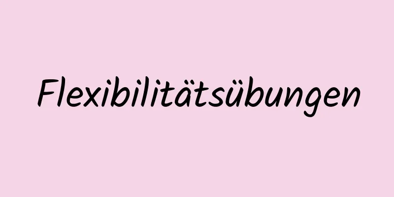 Flexibilitätsübungen
