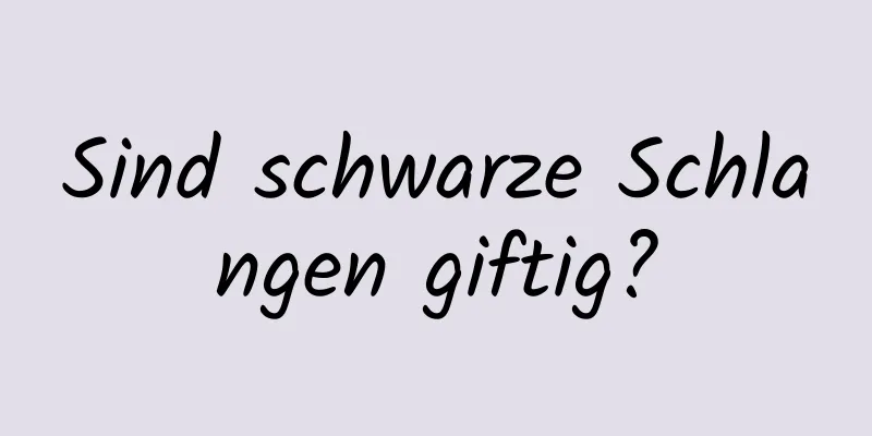 Sind schwarze Schlangen giftig?