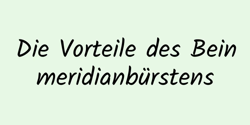 Die Vorteile des Beinmeridianbürstens