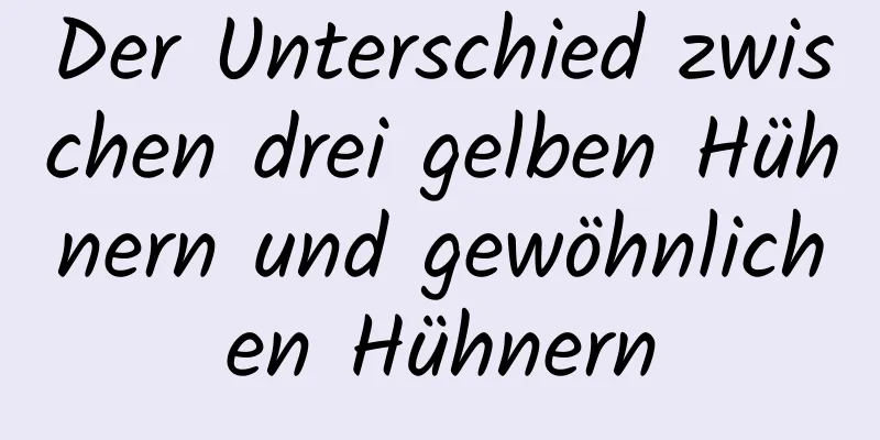 Der Unterschied zwischen drei gelben Hühnern und gewöhnlichen Hühnern