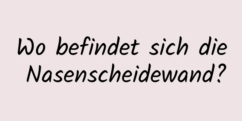 Wo befindet sich die Nasenscheidewand?