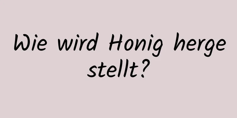 Wie wird Honig hergestellt?