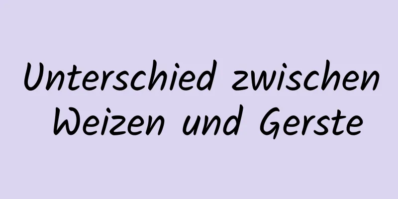 Unterschied zwischen Weizen und Gerste