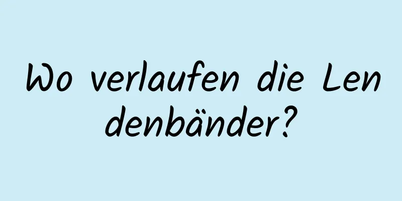 Wo verlaufen die Lendenbänder?