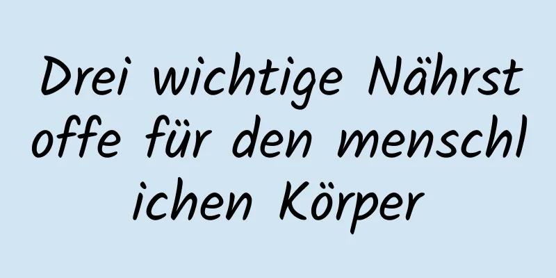Drei wichtige Nährstoffe für den menschlichen Körper