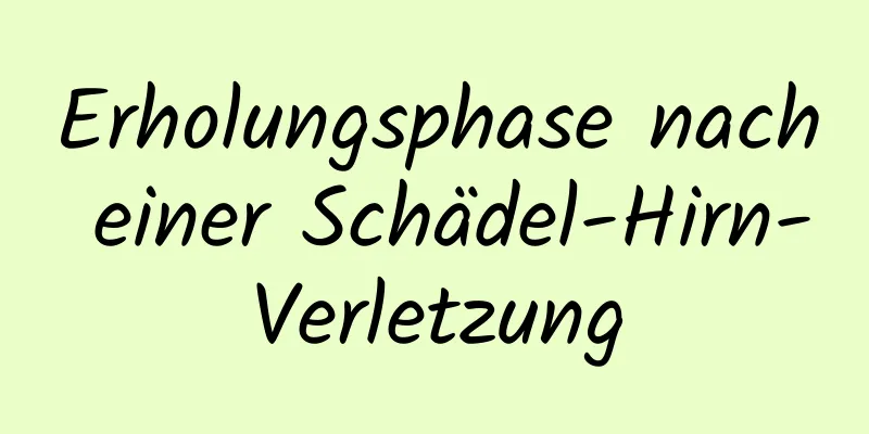 Erholungsphase nach einer Schädel-Hirn-Verletzung