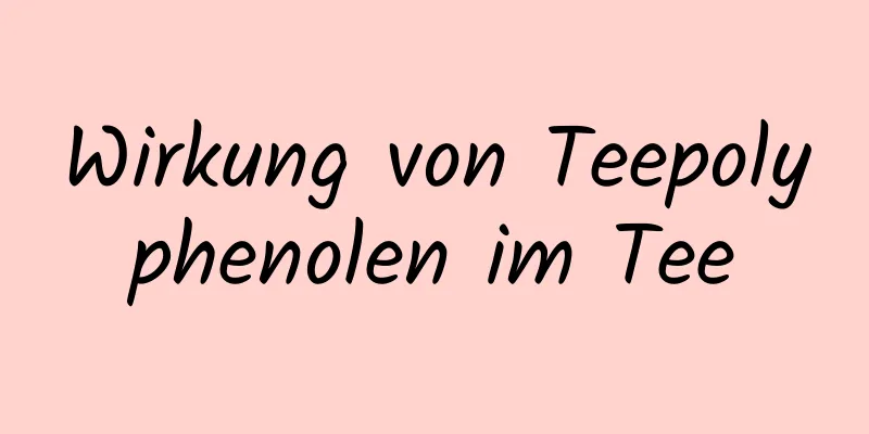 Wirkung von Teepolyphenolen im Tee