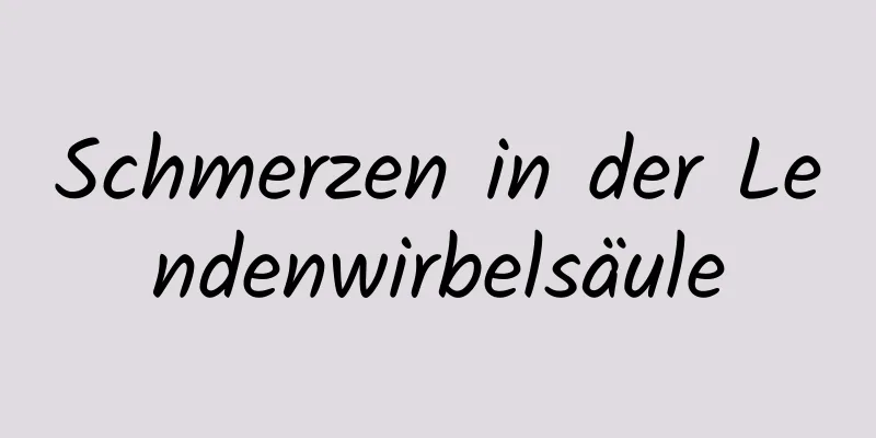 Schmerzen in der Lendenwirbelsäule