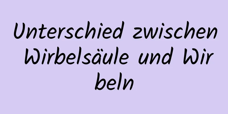 Unterschied zwischen Wirbelsäule und Wirbeln