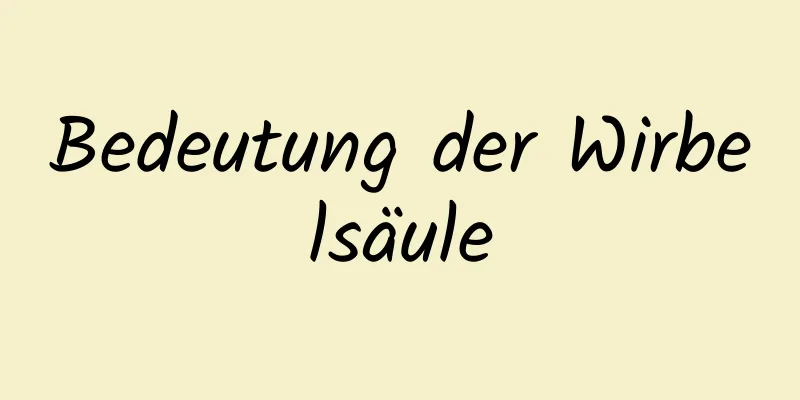 Bedeutung der Wirbelsäule
