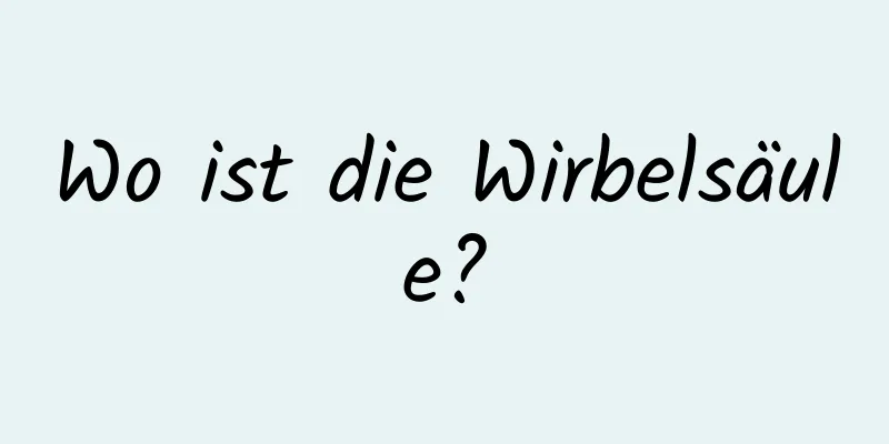 Wo ist die Wirbelsäule?