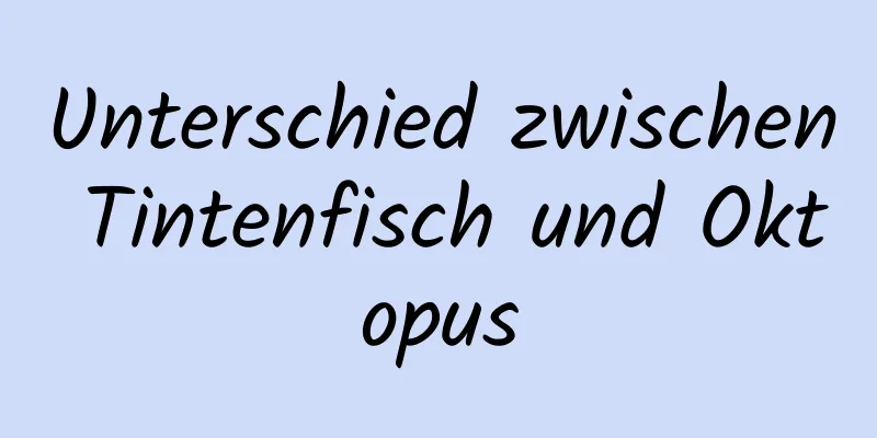 Unterschied zwischen Tintenfisch und Oktopus