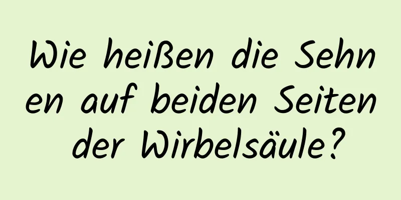Wie heißen die Sehnen auf beiden Seiten der Wirbelsäule?