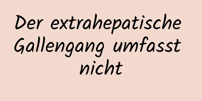 Der extrahepatische Gallengang umfasst nicht