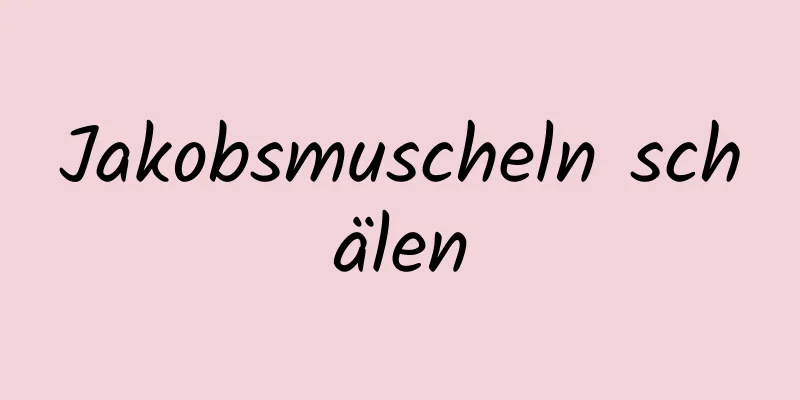 Jakobsmuscheln schälen