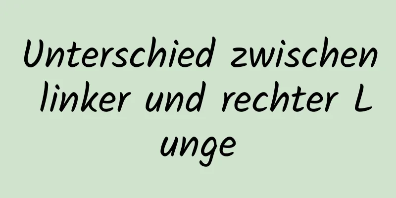 Unterschied zwischen linker und rechter Lunge