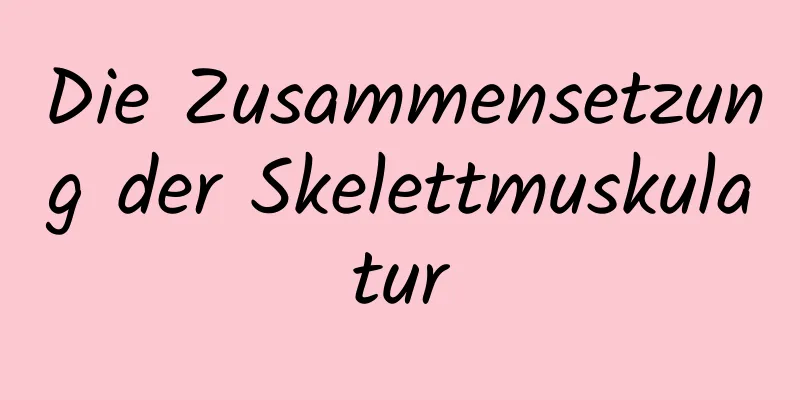 Die Zusammensetzung der Skelettmuskulatur