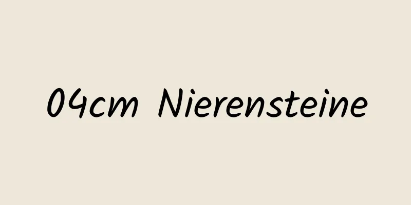 04cm Nierensteine