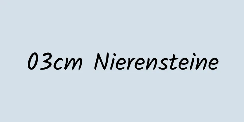 03cm Nierensteine