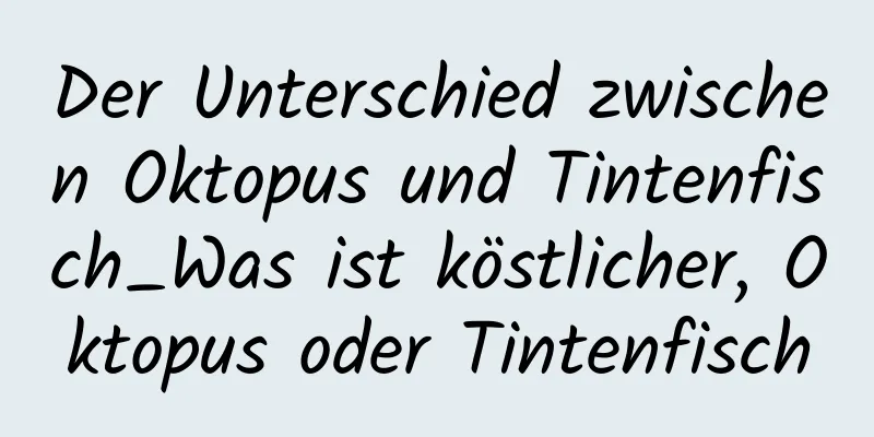 Der Unterschied zwischen Oktopus und Tintenfisch_Was ist köstlicher, Oktopus oder Tintenfisch