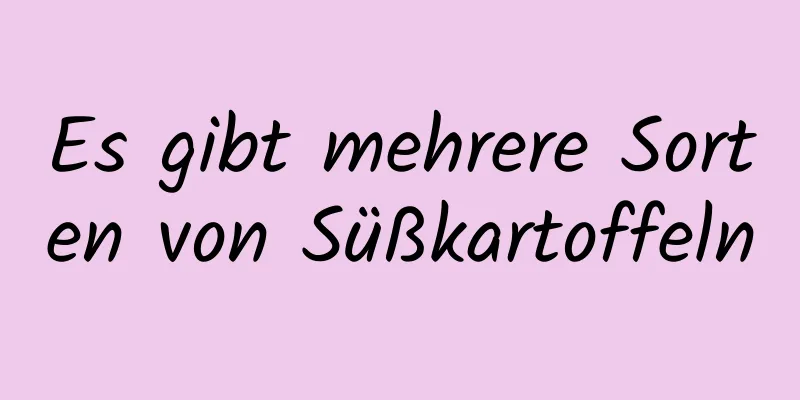 Es gibt mehrere Sorten von Süßkartoffeln