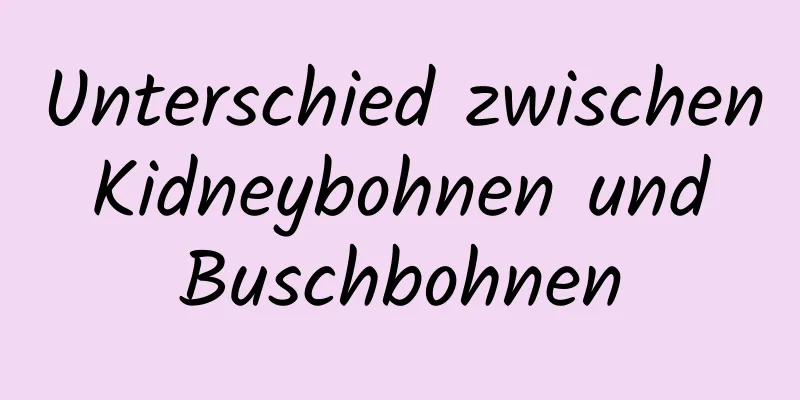 Unterschied zwischen Kidneybohnen und Buschbohnen