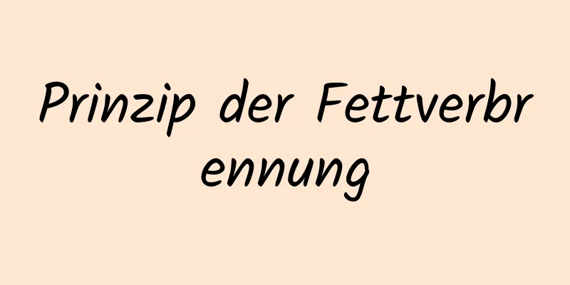 Prinzip der Fettverbrennung