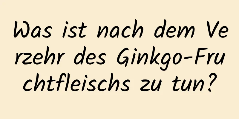 Was ist nach dem Verzehr des Ginkgo-Fruchtfleischs zu tun?