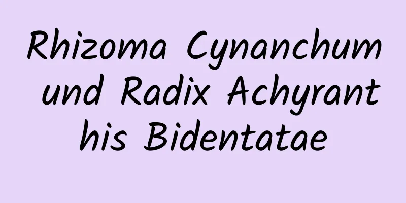 Rhizoma Cynanchum und Radix Achyranthis Bidentatae