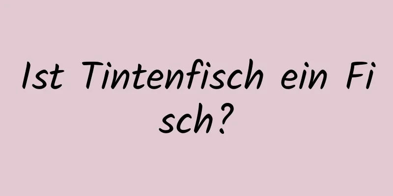 Ist Tintenfisch ein Fisch?
