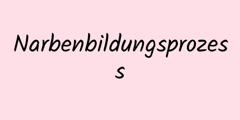Narbenbildungsprozess
